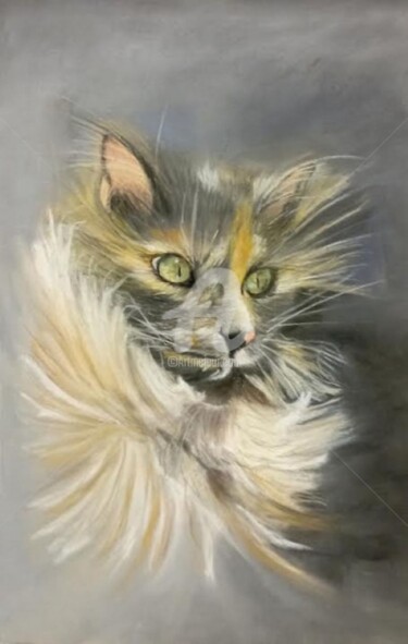 Painting titled "Maine Coone "Mia"" by Chantal Le Mesle, Original Artwork, Pastel