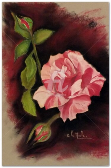 Schilderij getiteld "Rose Framboise" door Chantal Le Mesle, Origineel Kunstwerk, Pastel