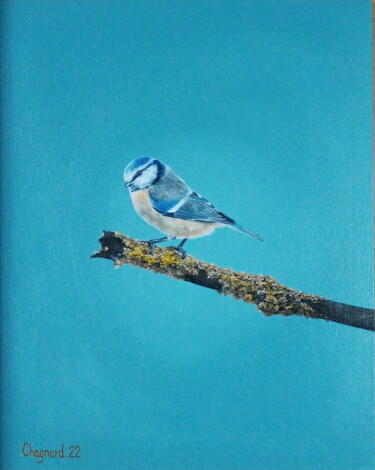 Peinture intitulée "La Mésange bleue" par Charlène Chagnard, Œuvre d'art originale, Huile Monté sur Carton