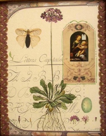 Collages titled "Botanical Collage w…" by Charlene Wooden, Original Artwork