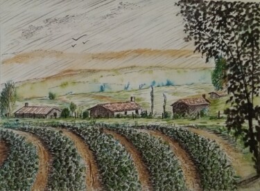 Peinture intitulée "Culture de salades" par Charles Corbin, Œuvre d'art originale, Aquarelle