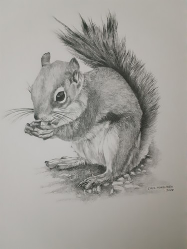 Dibujo titulada "Eastern Gray Squirr…" por Chul Hong Park, Obra de arte original, Lápiz