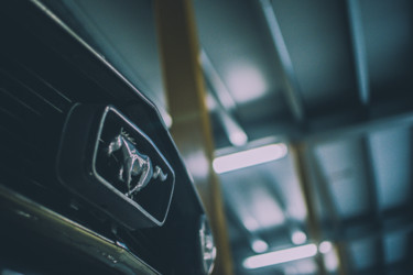 Φωτογραφία με τίτλο "Ford Mustang" από Charlie, Αυθεντικά έργα τέχνης
