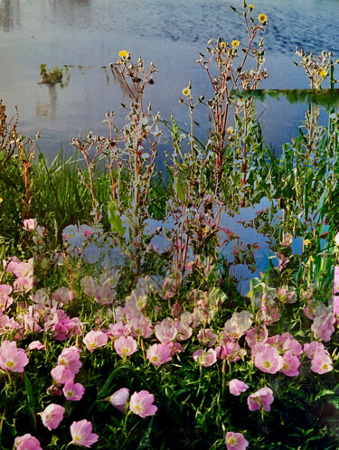 Photographie intitulée "Primroses, Louisiana" par Charlotte Daigle, Œuvre d'art originale, Photographie numérique