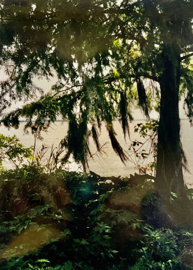 Photographie intitulée "Swaying Moss" par Charlotte Daigle, Œuvre d'art originale, Photographie numérique
