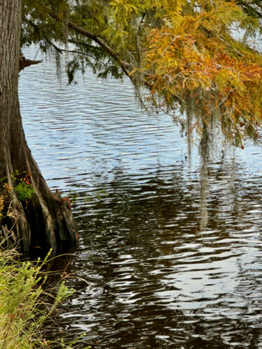 Photography titled "Autumn on the Bayou" by Charlotte Daigle, Original Artwork, Digital Photography