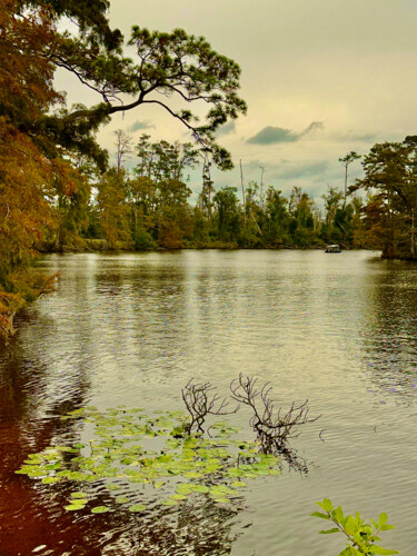 Photography titled "Bend in the River" by Charlotte Daigle, Original Artwork, Digital Photography