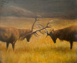 Painting titled "Combat de Cerfs" by Charlotte Macleod, Original Artwork, Oil