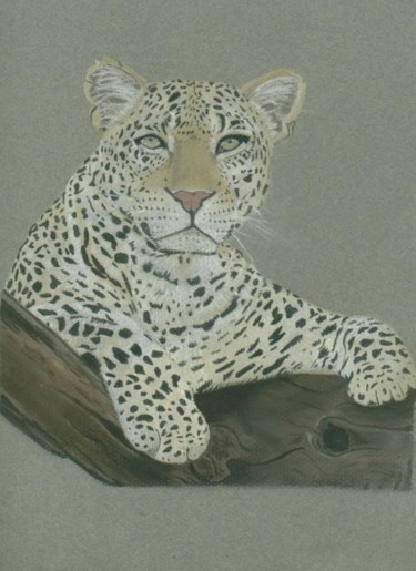 Painting titled "Leopard" by Michelle Block, Original Artwork, Oil