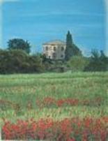 Painting titled "Poppy Meadow in Tus…" by Michelle Block, Original Artwork, Oil