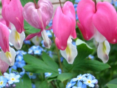 Photography titled "Bleeding Hearts Over" by Cheryl Townsend, Original Artwork