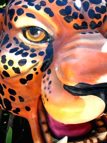 Photography titled "Eye Of The Tiger" by Cheryl Townsend, Original Artwork