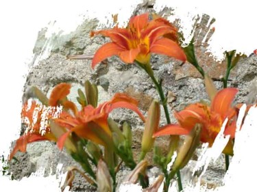 Photographie intitulée "flower wall" par Richard Raveen Chester, Œuvre d'art originale