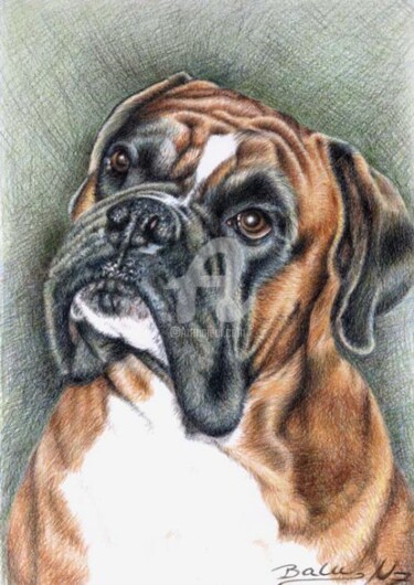 Painting titled "Boxer Balu" by Arts & Dogs, Original Artwork, Oil