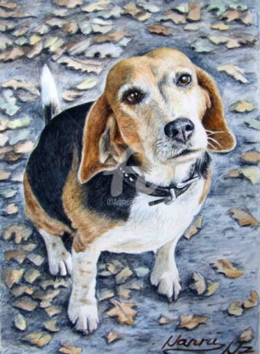 Painting titled "Beagle Nanni" by Arts & Dogs, Original Artwork, Oil