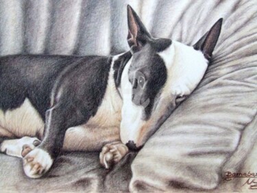 Schilderij getiteld "Mini Bulldog Terrier" door Arts & Dogs, Origineel Kunstwerk, Olie