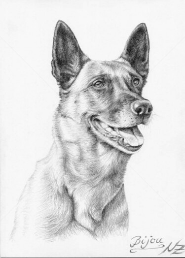 Schilderij getiteld "Malinois Bijou" door Arts & Dogs, Origineel Kunstwerk, Olie