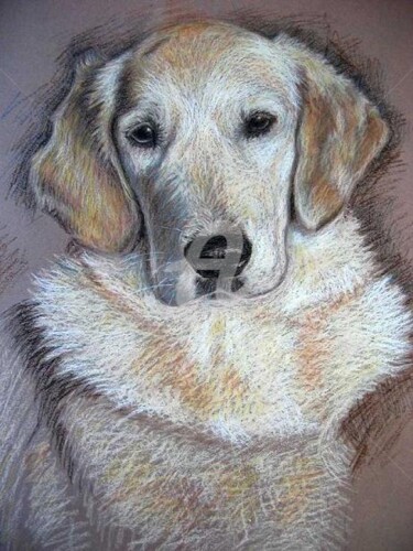 Painting titled "Golden Retriever 2" by Arts & Dogs, Original Artwork, Oil