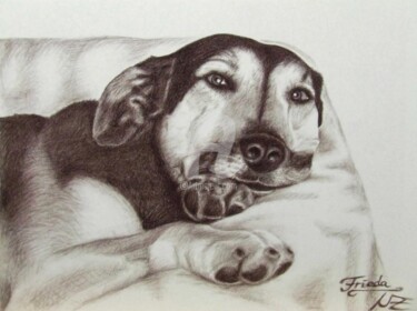 绘画 标题为“Frieda” 由Arts & Dogs, 原创艺术品, 油