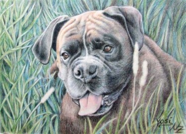 Malerei mit dem Titel "Boxer Yosi" von Arts & Dogs, Original-Kunstwerk, Öl