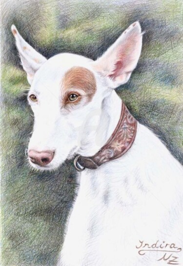 Schilderij getiteld "Podenco" door Arts & Dogs, Origineel Kunstwerk, Olie