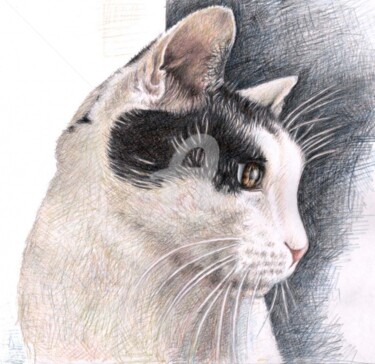 Malerei mit dem Titel "Tomcat" von Arts & Dogs, Original-Kunstwerk, Öl