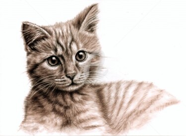 Schilderij getiteld "Little Kitten" door Arts & Dogs, Origineel Kunstwerk, Olie