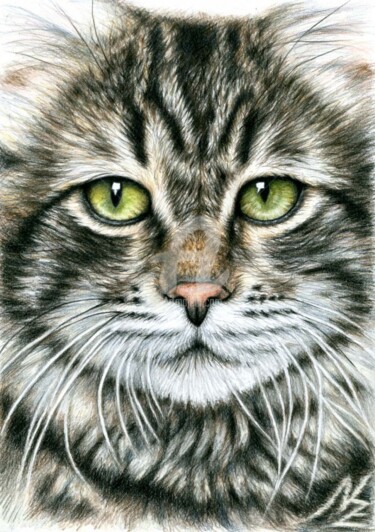 Картина под названием "Cats Face" - Arts & Dogs, Подлинное произведение искусства, Масло