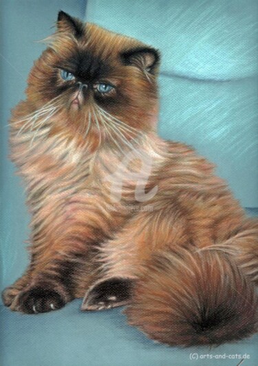 Painting titled "Perserkater" by Arts & Dogs, Original Artwork, Oil