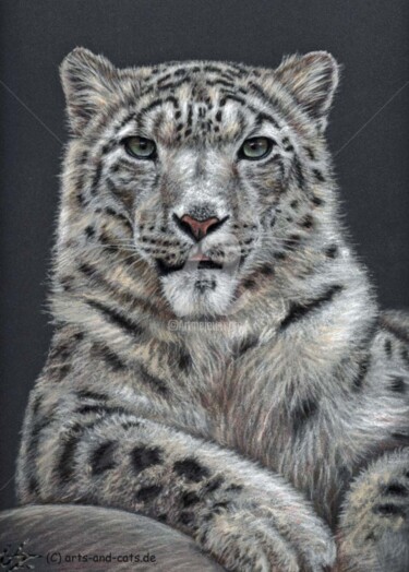 Painting titled "Snowleopard" by Arts & Dogs, Original Artwork, Oil
