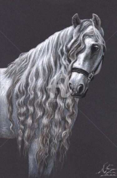 Malerei mit dem Titel "Andalusian Horse" von Arts & Dogs, Original-Kunstwerk, Öl