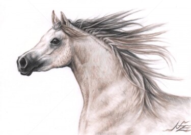 Pittura intitolato "Arabian Horse" da Arts & Dogs, Opera d'arte originale, Olio