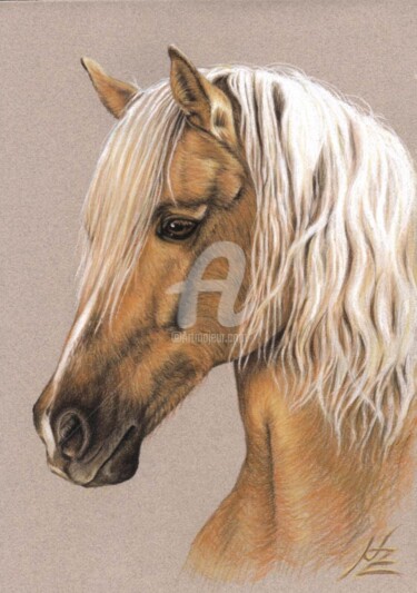 Schilderij getiteld "Berber Horse" door Arts & Dogs, Origineel Kunstwerk, Olie