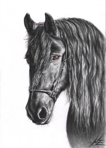 Malerei mit dem Titel "Friesian Horse" von Arts & Dogs, Original-Kunstwerk, Öl