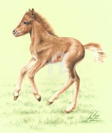 Painting titled "fuchs-pony" by Arts & Dogs, Original Artwork
