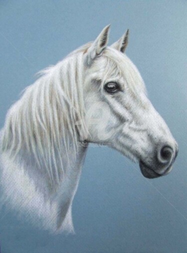 Pintura intitulada "White Stallion" por Arts & Dogs, Obras de arte originais, Óleo