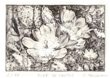 Printmaking titled "" Flor de Cactus "" by Chinami Miyata, Original Artwork, Engraving