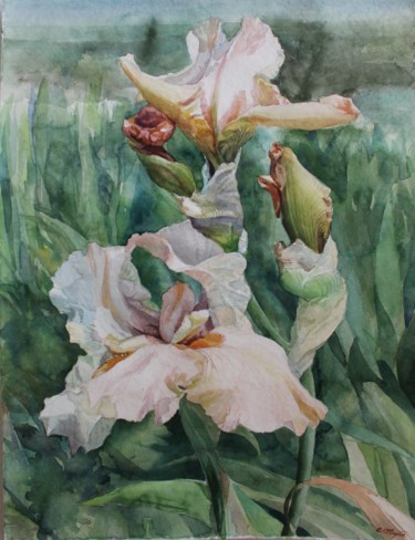 Painting titled "" Iris nella palude…" by Chinami Miyata, Original Artwork, Watercolor