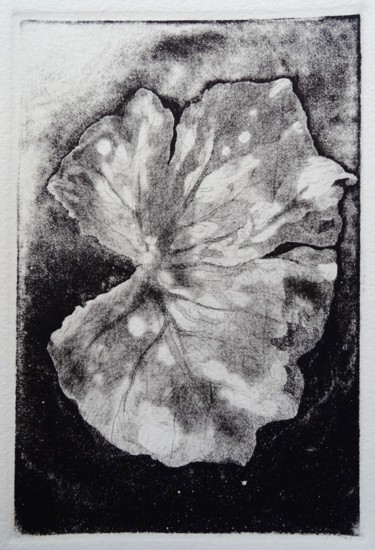 Incisioni, stampe intitolato "Foglia di taro" da Chinami Miyata, Opera d'arte originale, Acquaforte