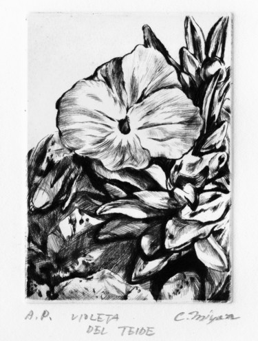 Printmaking titled ""VIOLETA DEL TEIDE"" by Chinami Miyata, Original Artwork, Engraving