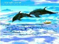 Digital Arts titled "Dolphins" by Anita Sanyal, Original Artwork
