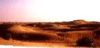 Photography titled "Desert,Rajasthan, I…" by Anita Sanyal, Original Artwork