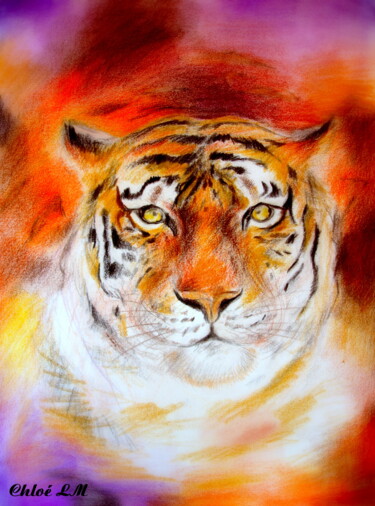 Dessin intitulée "tigre.jpg" par Chloé Livernaux, Œuvre d'art originale, Crayon