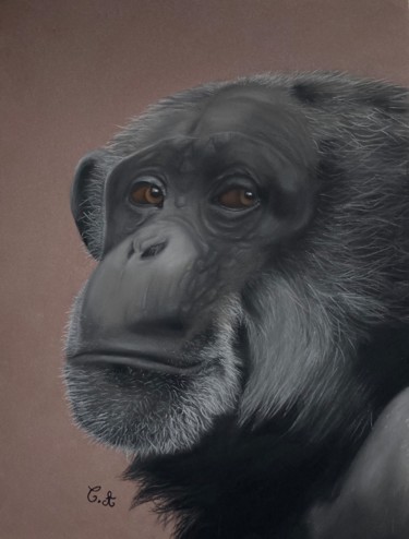 Dessin intitulée "Chimp' le chimpanzé" par Chloerine_art, Œuvre d'art originale, Pastel