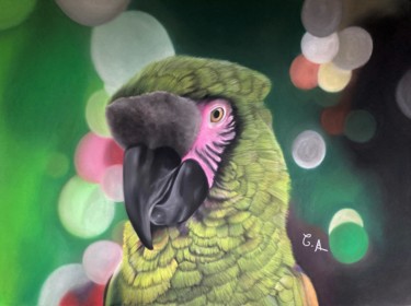 Dibujo titulada "Dessin d'un oiseau…" por Chloerine_art, Obra de arte original, Pastel