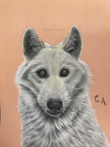 Dessin intitulée "Dessin d'un loup gr…" par Chloerine_art, Œuvre d'art originale, Pastel