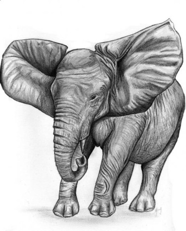 Painting titled "Elephant d'Afrique" by Chloe Yzoard, Original Artwork, Oil