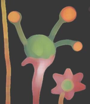 Картина под названием "Flor Exótica en hum…" - Chon Luengo, Подлинное произведение искусства, Масло