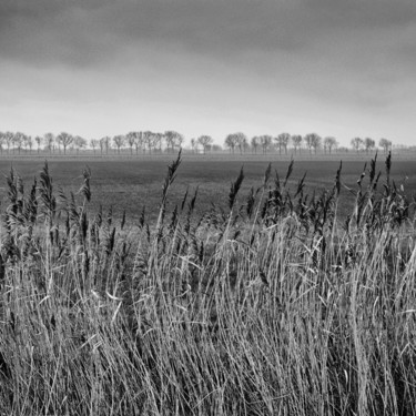 Fotografía titulada "Le plat pays encore" por Christian Schwarz, Obra de arte original, Fotografía digital