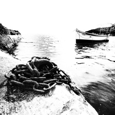 Fotografia intitulada "Captive Stillness" por Christian Schwarz, Obras de arte originais, Fotografia digital